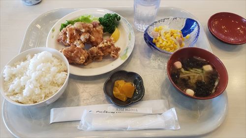 ザンギ定食-レストラン-新日本海フェリー